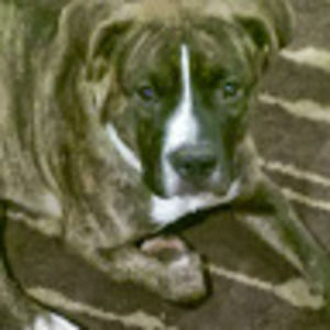 Meet your Posher, Jade